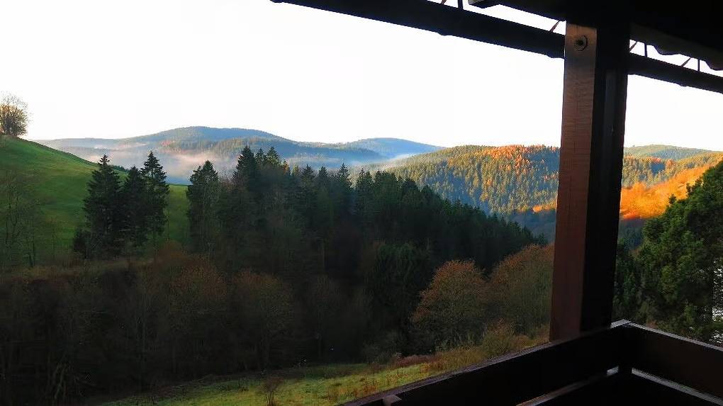 Ganze Ferienwohnung, Ferienwohnung am Glockenberg | Sankt Andreasberg | Harz in Sankt Andreasberg, Braunlage