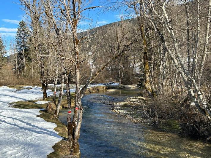 Gîte pour 7 personnes, avec piscine ainsi que terrasse et vue, animaux acceptés dans Lélex - Crozet - 4