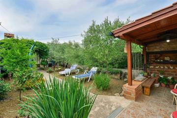 Villa for 5 People in Vir, Dalmatia, Photo 3