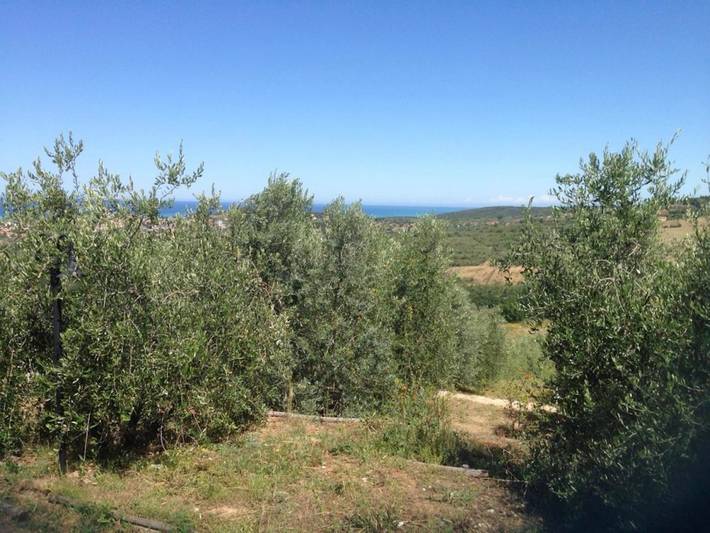 Location de vacances pour 2 personnes, avec piscine ainsi que vue et jardin, animaux acceptés à San Vincenzo - 3