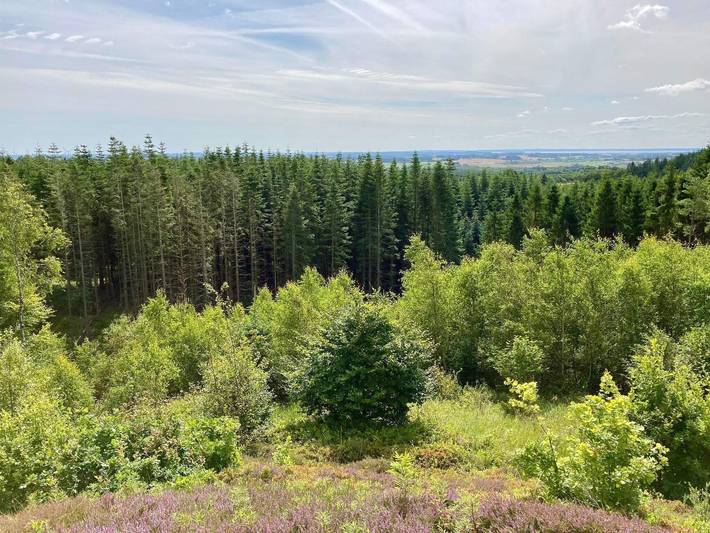 Ferienhaus für 16 Personen, mit Sauna und Terrasse, kinderfreundlich in Tranum Strand - 4