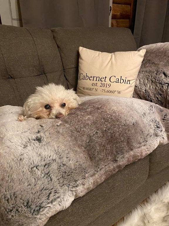 Lakefront Cabin w/ Hot Tub, Views & Fireplace in Hickory Run State Park