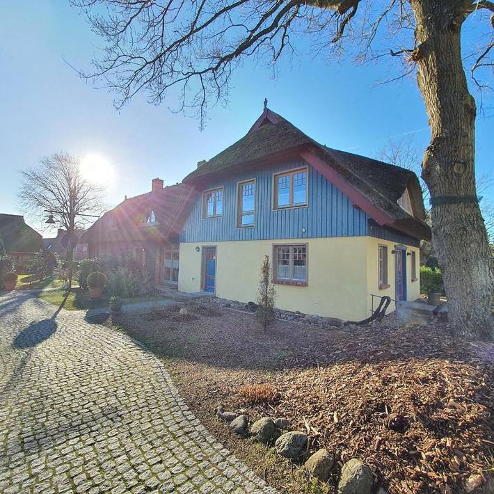 Ferienhaus für 9 Personen, mit Whirlpool und Garten sowie Sauna, kinderfreundlich auf Fischland - Darß - Zingst - 3
