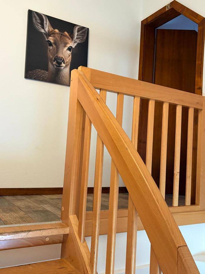 Gîte pour 2 personnes, animaux acceptés à Kaysersberg - 4