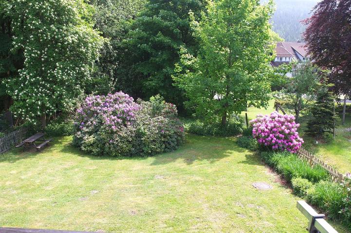 Ganze Ferienwohnung, Ferienhaus Blume in Hahnenklee, Goslar