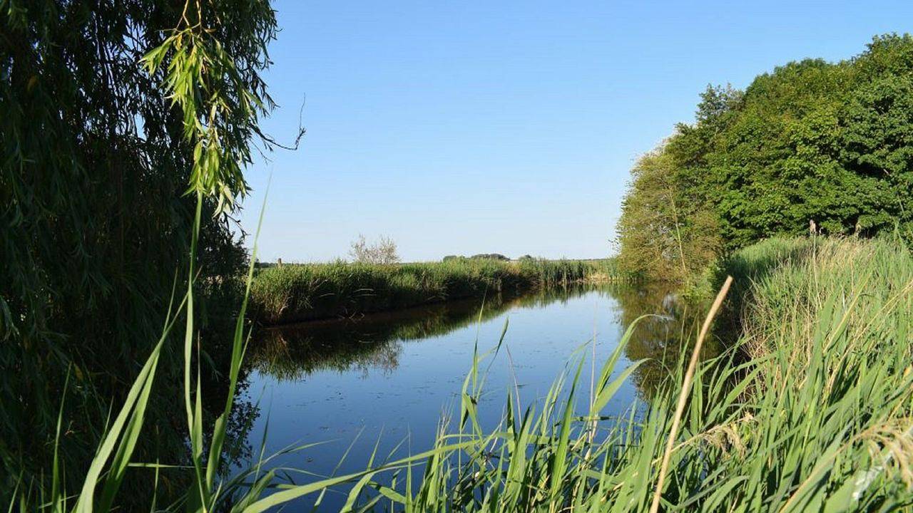 Ganze Ferienwohnung, Ferienwohnung für 6 Personen (120 m²) in Ockholm in Ockholm, Nordsee - Schleswig-Holstein