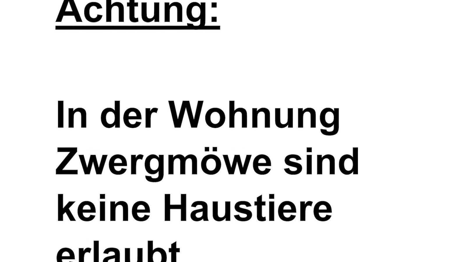 Ganze Wohnung, Ferienwohnung für 3 Personen in Butjadingen-Tossens in Tossens, Butjadingen