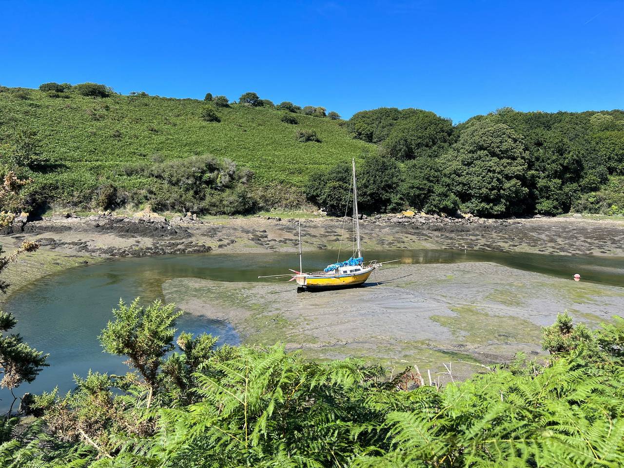 Hervorragende Villa mit den Füßen im Wasser in Plouguerneau, Brest und Umgebung