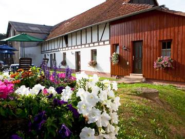 Ferienhaus für 4 Personen, mit Garten und Sauna sowie Terrasse, mit Haustier in Erbach