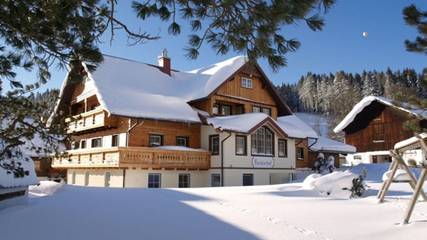 Hütte für 4 Personen in Ramsau am Dachstein, Ski Amadé, Bild 4