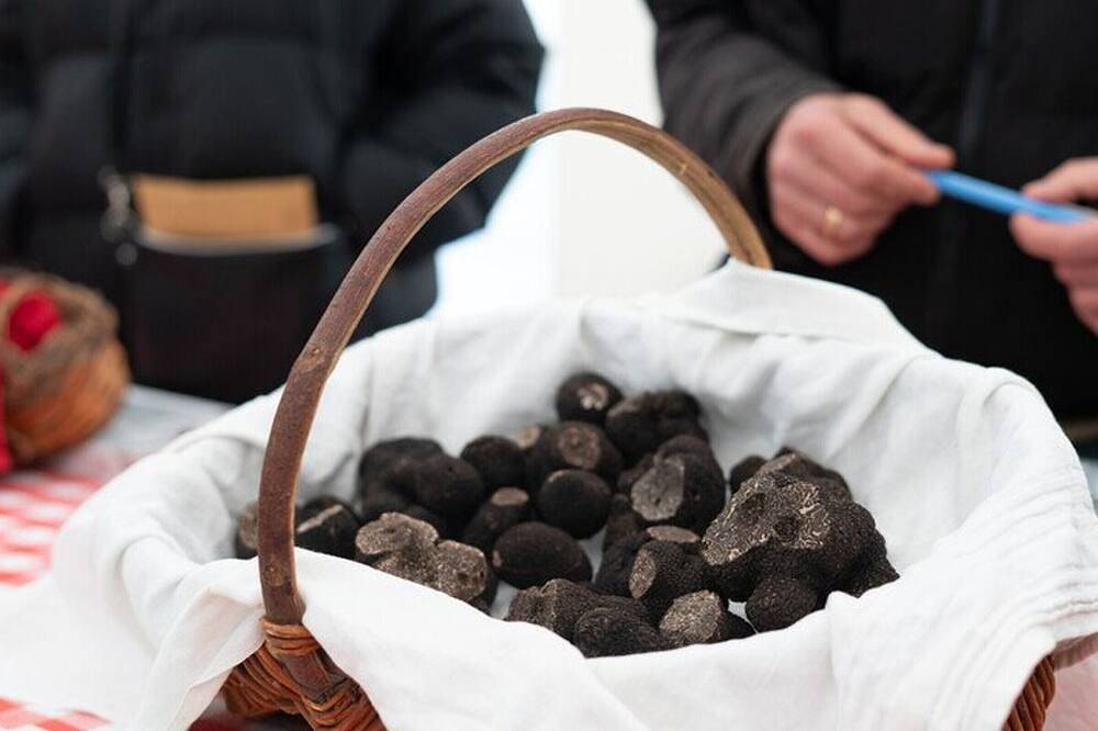 Entire apartment, Charming apartment, 4 people, medieval village Martel, Pets allowed, Free Wifi in Martel, Lot