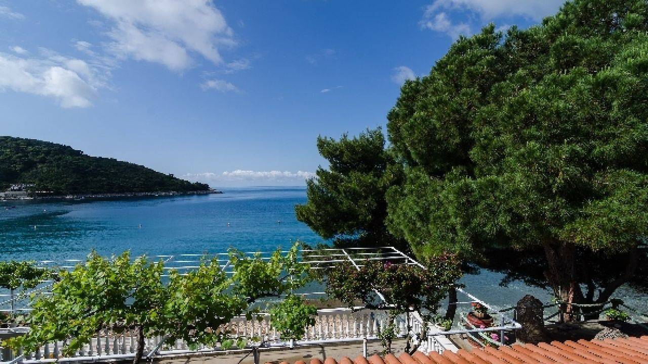 Ganze Ferienwohnung, Ferienwohnung für 2 Personen (35 m²) in Saplunara in Mljet