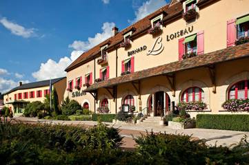 Hôtel pour 2 personnes, avec sauna et jacuzzi ainsi que piscine et jardin, animaux acceptés à Saulieu