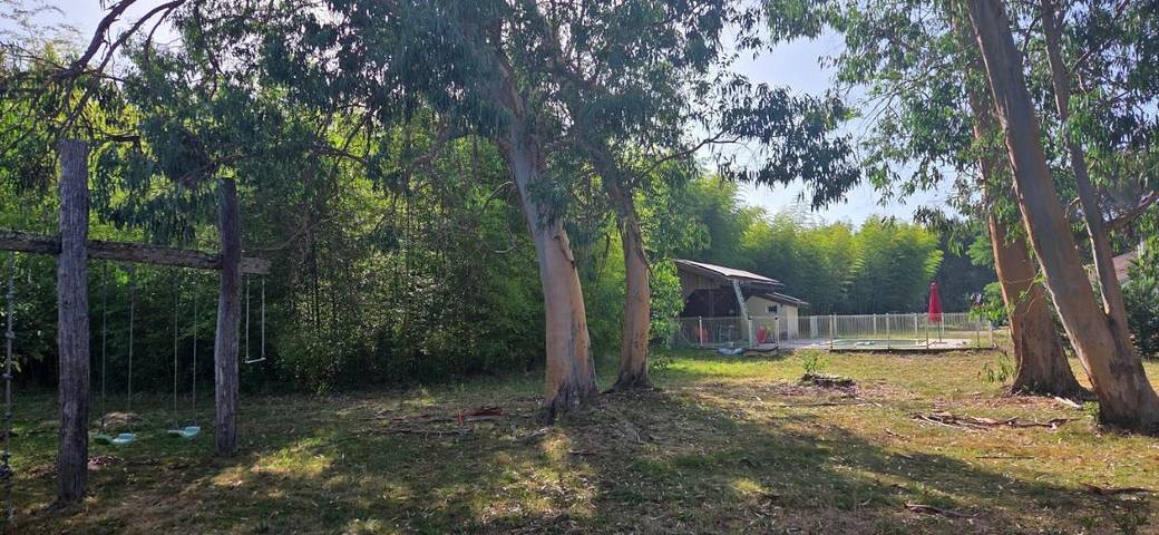 Location de vacances pour 6 personnes, avec Terrasse et Jardin ainsi que Piscine et Vue dans Morcenx-la-Nouvelle - 2