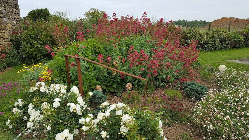 Chambre d’hôte pour 4 personnes, avec jacuzzi et jardin en Vendée - 4