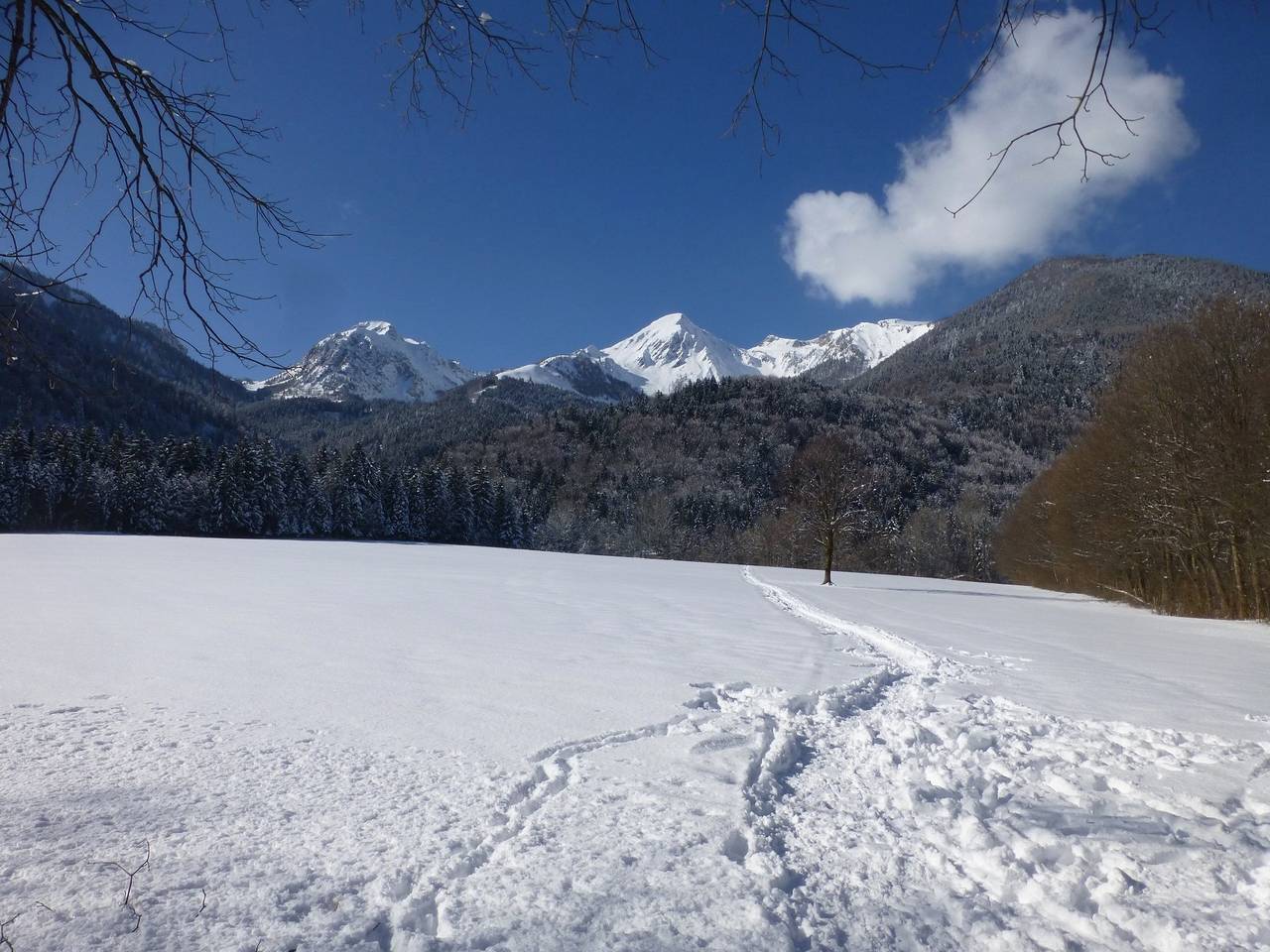 Ganze Ferienwohnung, Ferienwohnung Andrea - Ferienwohnung Andrea -3 Pers, 62qm, 1 Schlafzimmer, Erker, Kachelofen, Balkon in Schleching, Bayerische Alpen