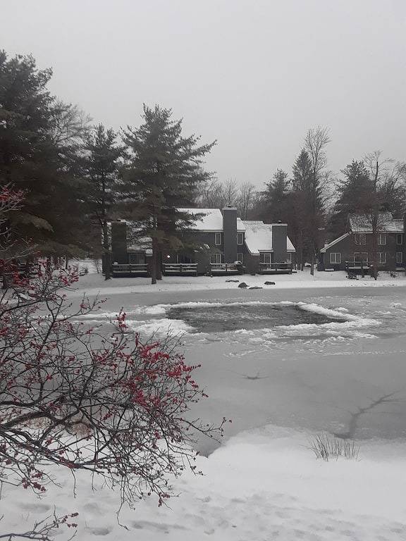 Beautiful Chalet in Lake Harmony at Jack Frost Mtn with scenic Pond View in Blakeslee, Carbon County (PA)