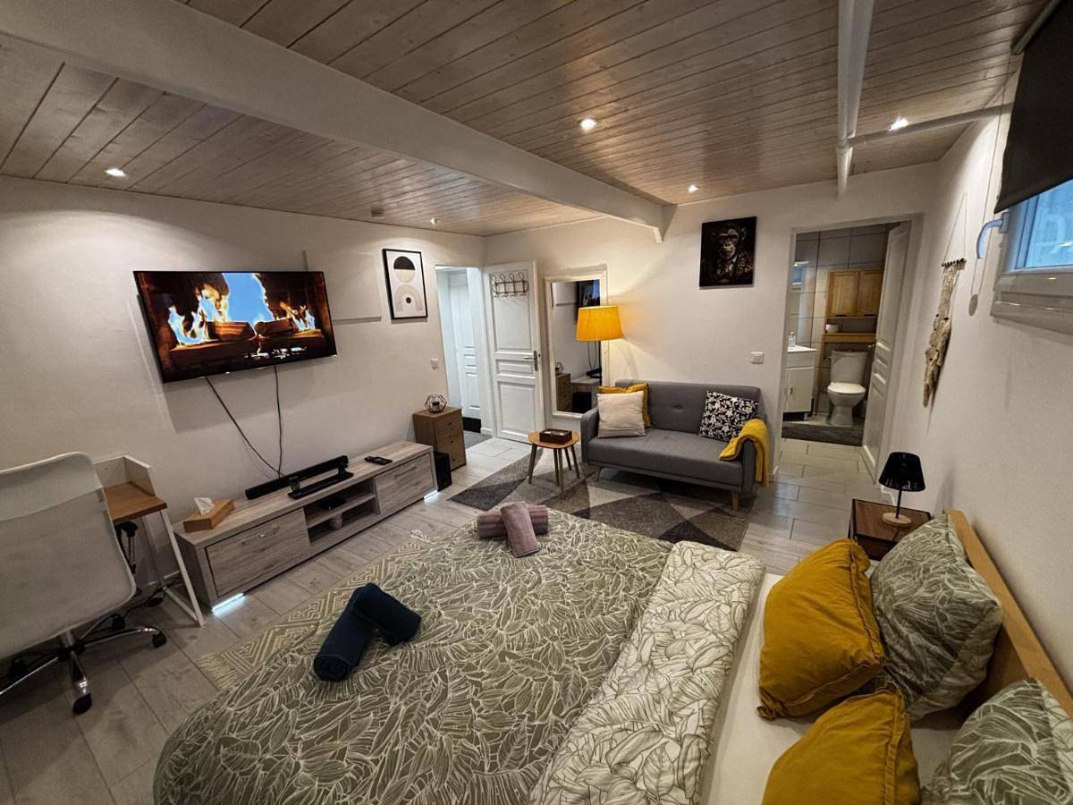 Appartement entier, Cozy studio 2 steps from Geneva in Sergy, Gex