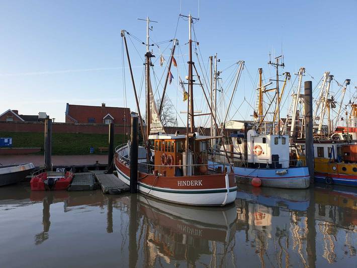 Ferienwohnung für 5 Personen, mit Terrasse, mit Haustier in Ditzum - 4