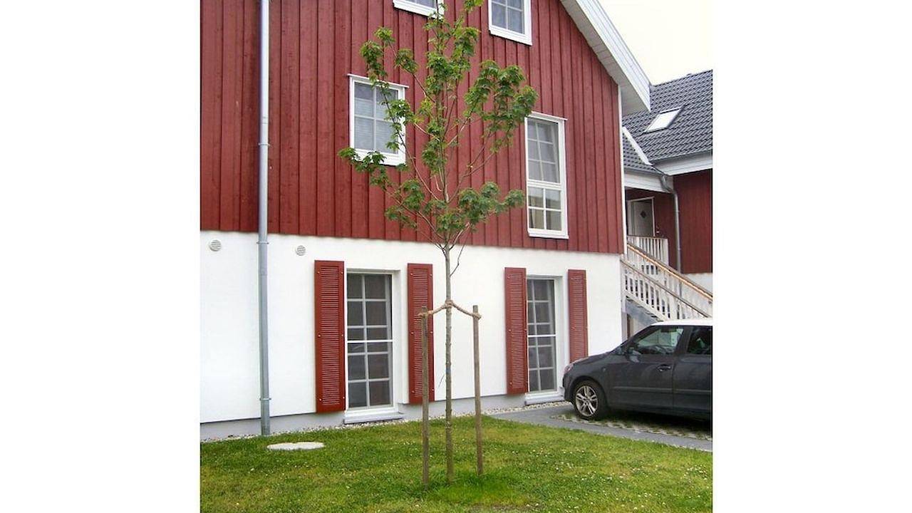 Hauptbild