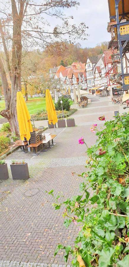 Appartement entier, Beauty Haus im Zentrum in Bad Sooden-Allendorf, Werratal