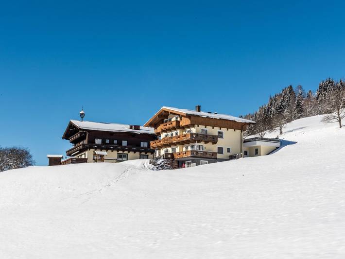 Ganze Wohnung, Wohnung mit Pool und viel Platz um das Haus
 in Goldegg, Ski Amadé