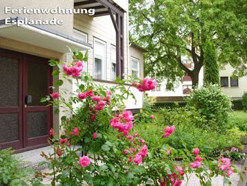 Ferienwohnung für 2 Personen in Bad Harzburg, Westharz, Bild 1