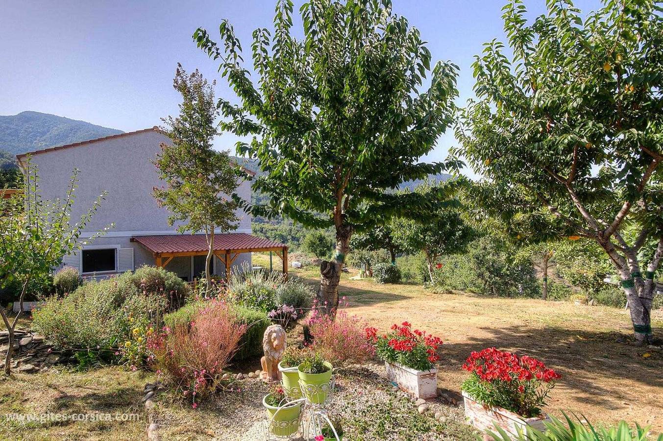 Aghja u moru in Bisinchi, Corte region