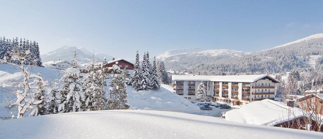 Geheel vakantieappartement, Hotel suite, douche of bad, Wc in Riezlern, Mittelberg