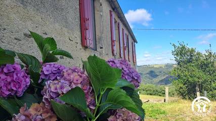 Gîte pour 10 Personnes dans Assac, Massif central, Photo 3