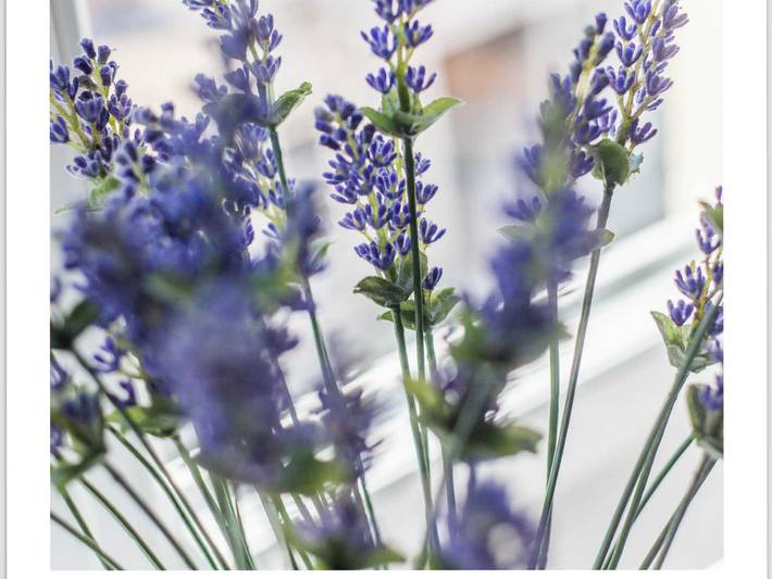 Ferienwohnung für 2 Personen, mit Balkon in Kappeln - 2