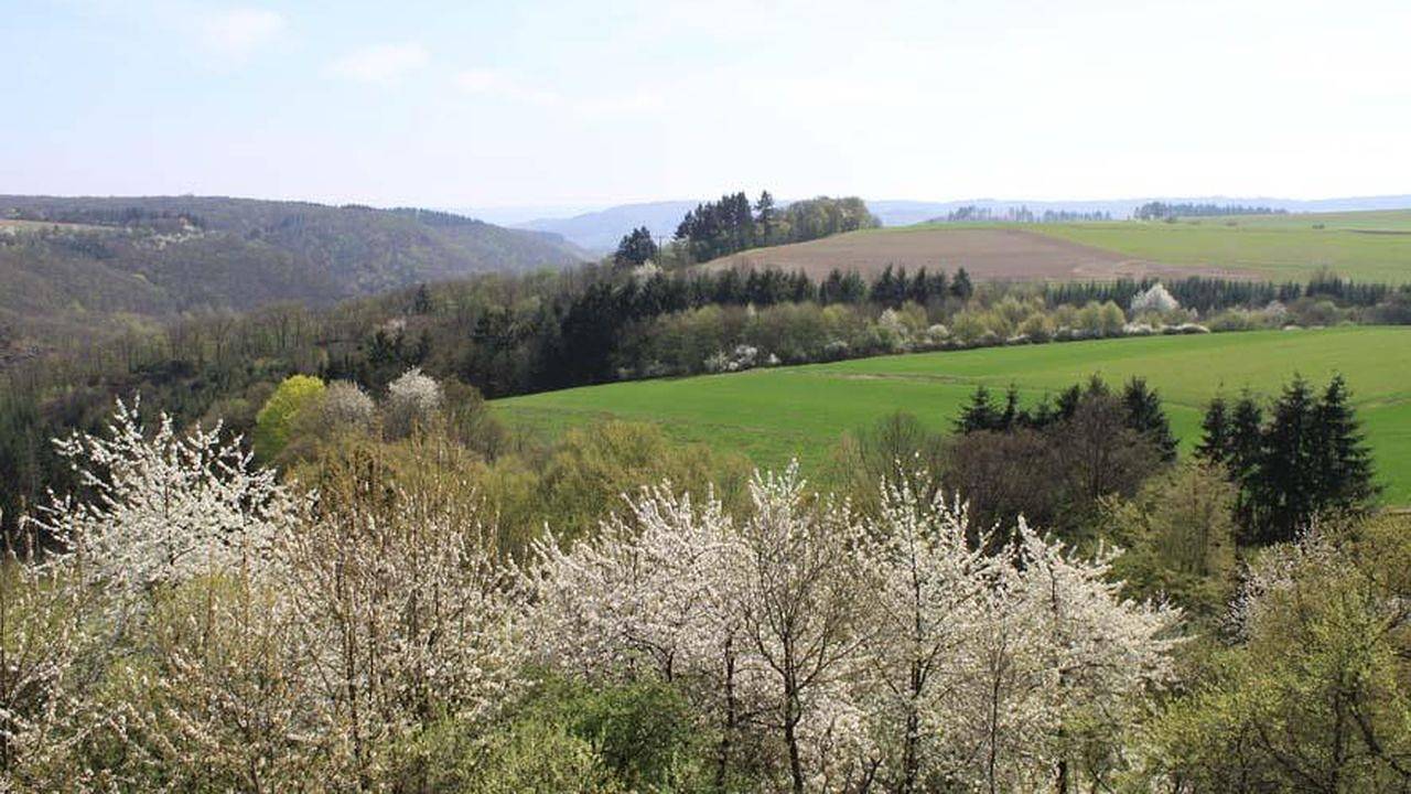 Ganze Ferienwohnung, Ferienwohnung für 2 Personen (70 m²) in Bad Bertrich in Bad Bertrich, Cochem-Zell