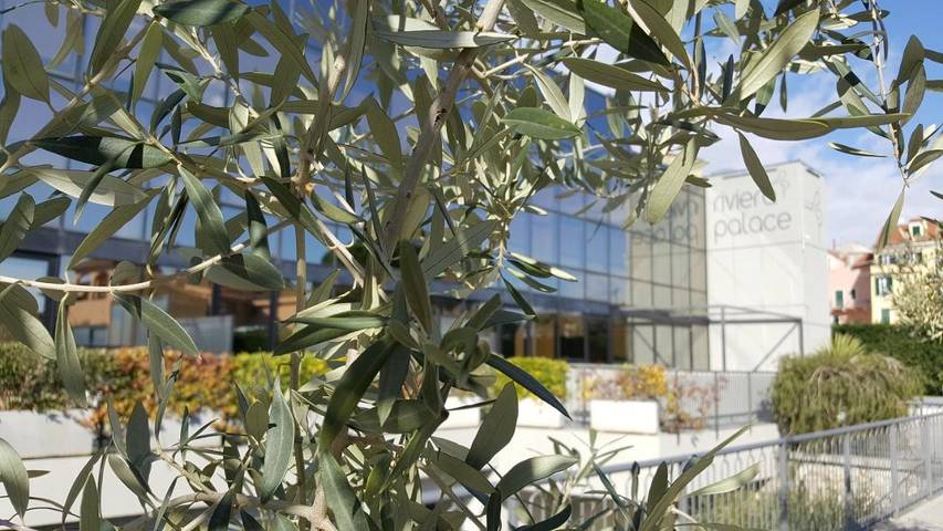 Apartahotel para 3 personas, con jardín y vistas en Liguria