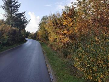 Ferieudlejning til 6 Personer i Henne Strand, Vesterhavet, Billede 4