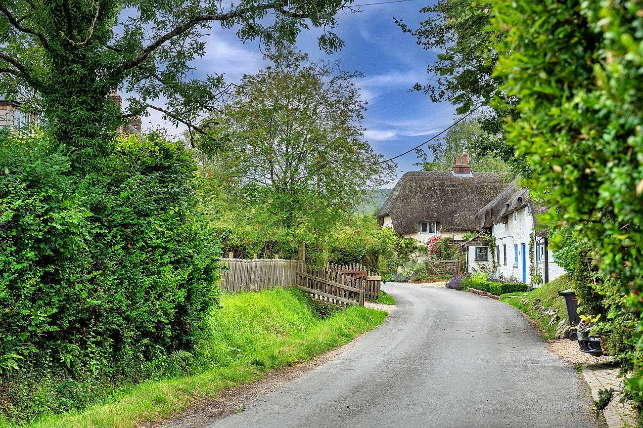 The Thatch at Winterborne Houghton in Dorset