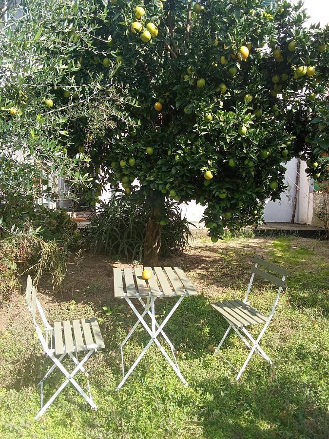 Apartamento entero, Orange tree apartment in Amarante, Distrito de Porto