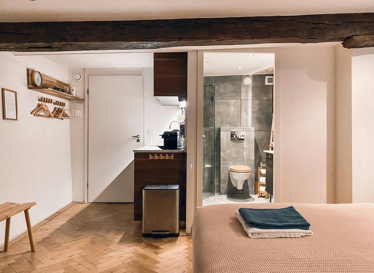 Entire apartment, Luxurious suite in Maastricht City Center in Maastricht, Limburg (Netherlands)