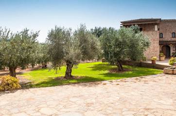 Ferienhaus in Felanitx, Mallorca Süden für 10 