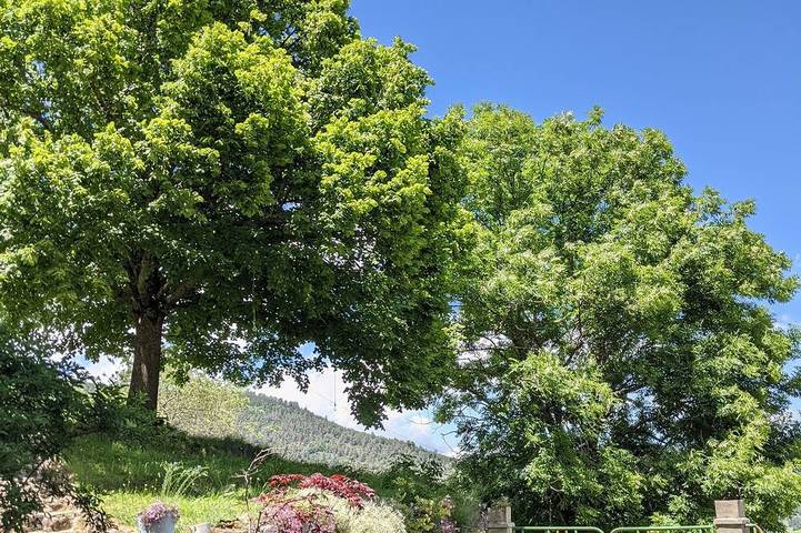 Chambre d'hôte spacieuse avec vue montagne in Montaillou, Ariège