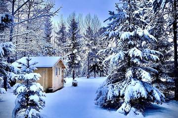 Ferienhaus für 4 Personen in Angermanland, Nordschweden, Bild 3