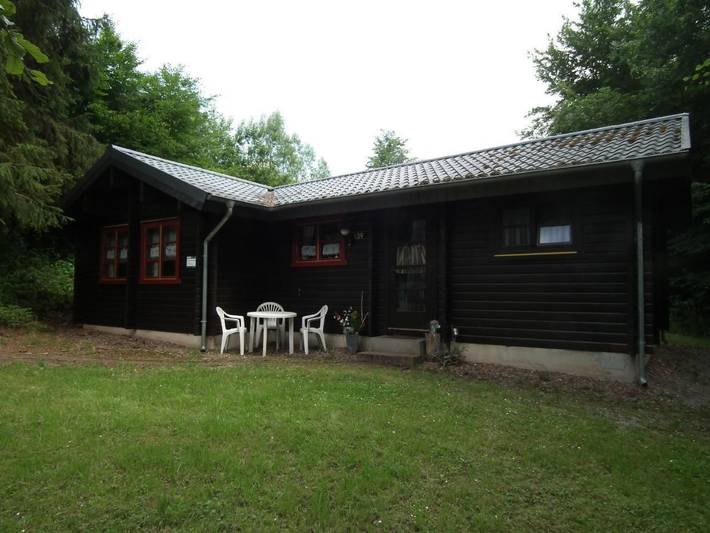 Wunderschönes Ferienhaus am Waldrand in Bad Arolsen, Twistesee