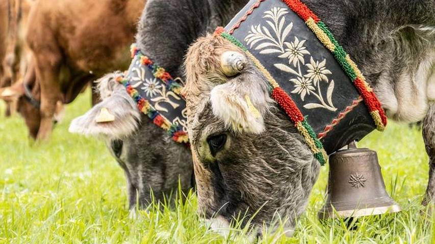 Ferienwohnung für 5 Personen, mit Whirlpool und Balkon in Leutasch - 4
