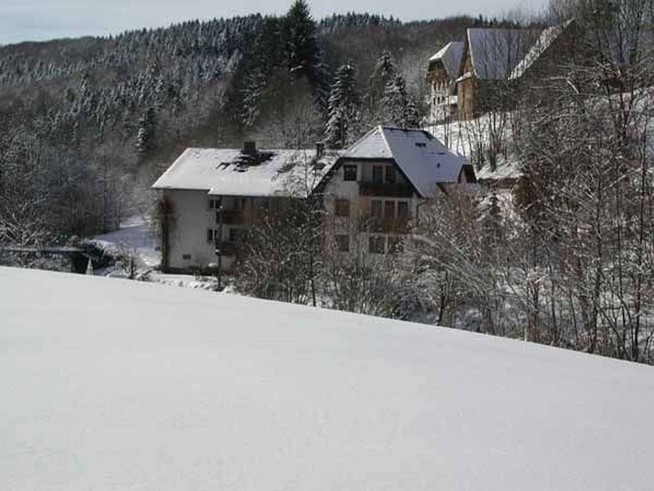 Ganze Ferienwohnung, Pension Schneider - Nr. 5 Fw Buchfink, 30qm, 1 Schlafraum, 2 Erw. + 1 Kind in Freiamt, Südschwarzwald