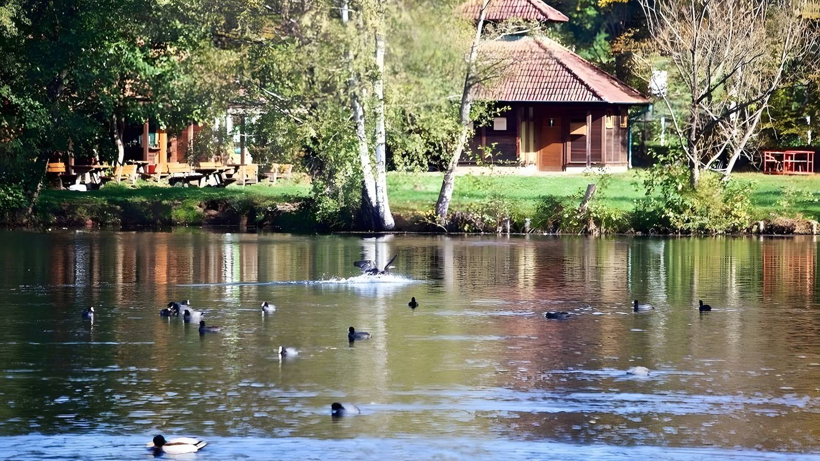 Ganze Wohnung, Wald Fels- und Seen in Ludwigswinkel, Landkreis Südwestpfalz
