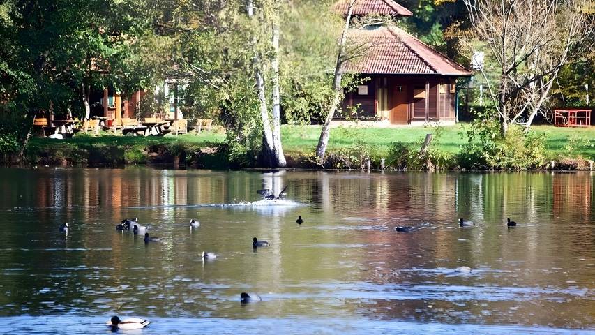 Ferienwohnung für 2 Personen, mit Balkon und Garten im Pfälzer Wald - 2