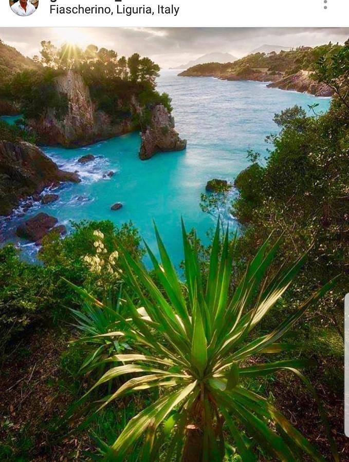 Maison d’hôte pour 2 personnes, animaux acceptés à La Spezia - 4