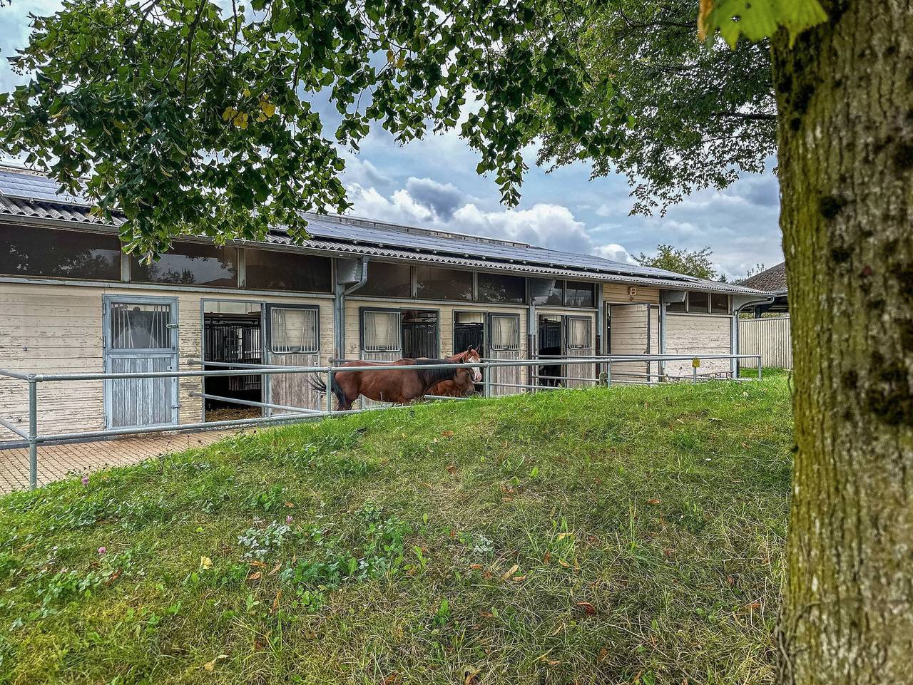 Schnyder Ranch - Zimmer 2 in Ravensburg, Oberschwaben