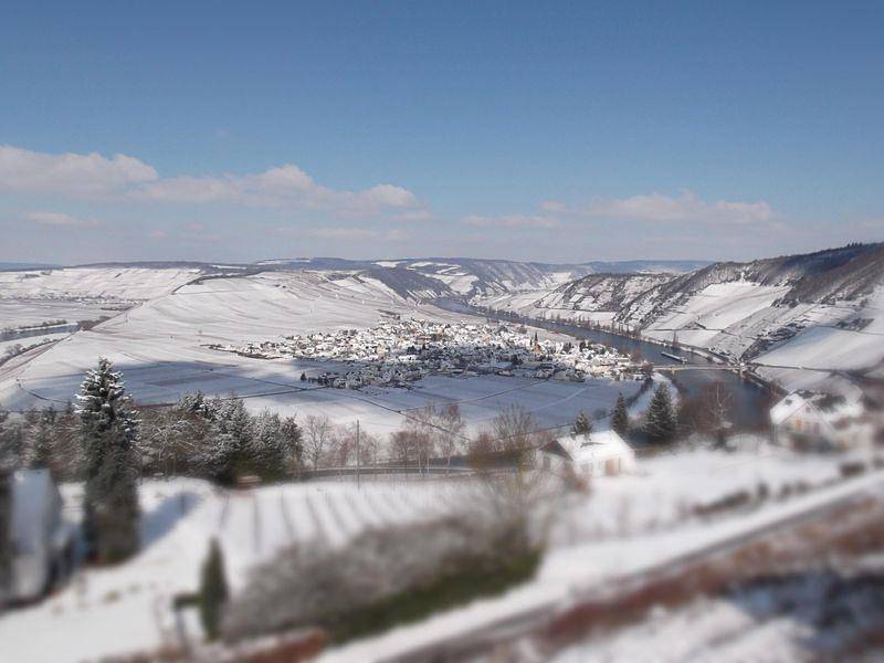 Ganze Ferienwohnung, Fewo 3  "Rotling" - Casa la Vino in Leiwen, Moseleifel
