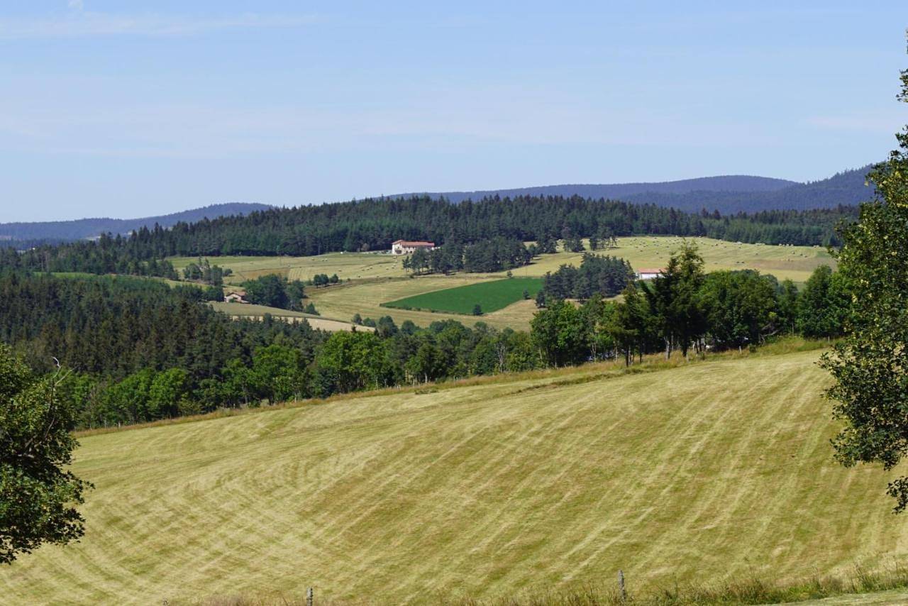 Auberge des Myrtilles in Saint-Bonnet-le-Froid, Haute-Loire