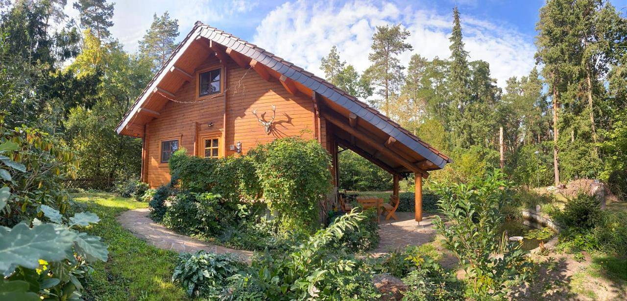 Waldhaus Eichhörnchen in Bad Schmiedeberg, Dübener Heide